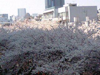 120409_1400~0001.jpg