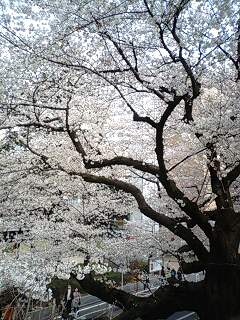120407_1549~0001.jpg